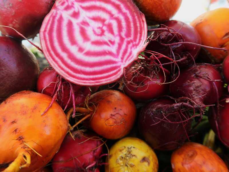 Triunfo del trabajo en&nbsp;equipo